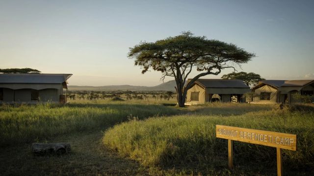 Siringit Serengeti Camp