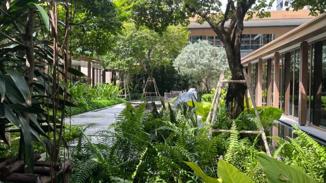 Capella Bangkok Spa Garten