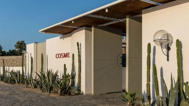Eingang des Cosme Resorts mit modernen Architekturdetails und Kakteengarten