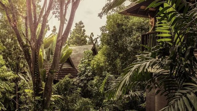 Üppige tropische Vegetation und traditionelle Architektur im Four Seasons Resort Chiang Mai