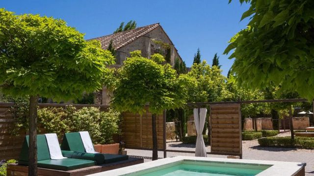 Poolbereich mit Liegen und umgeben von Bäumen und Natur im Hacienda Zorita Hotel