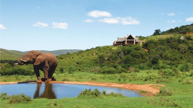 Elefant vor einem Wasserloch mit Blick auf die Hopewell Lodge im Hintergrund.