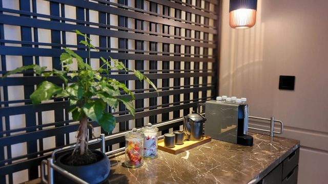 Kaffeeecke Zimmerpflanze