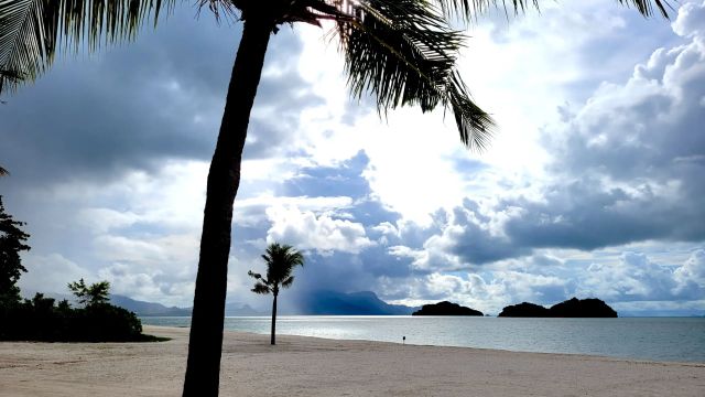 Strand mit Palmen