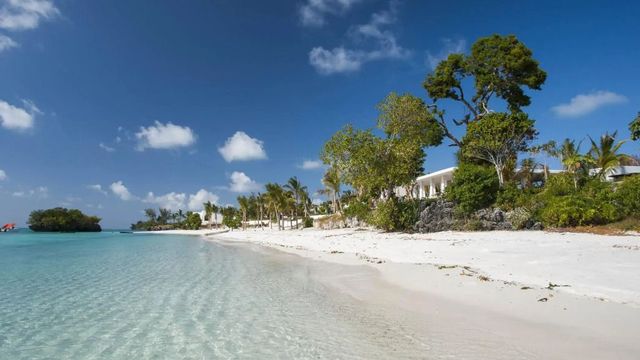 Weißer Sandstrand mit klarem Wasser und Palmen unter einem blauen Himmel