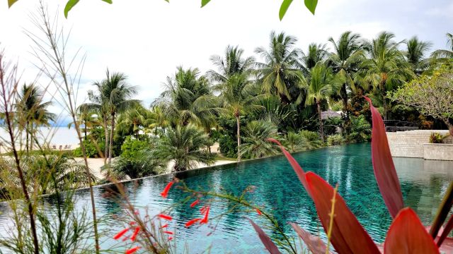 Tropische Poollandschaft