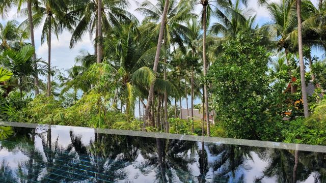 Amanpuri Pool Paradies