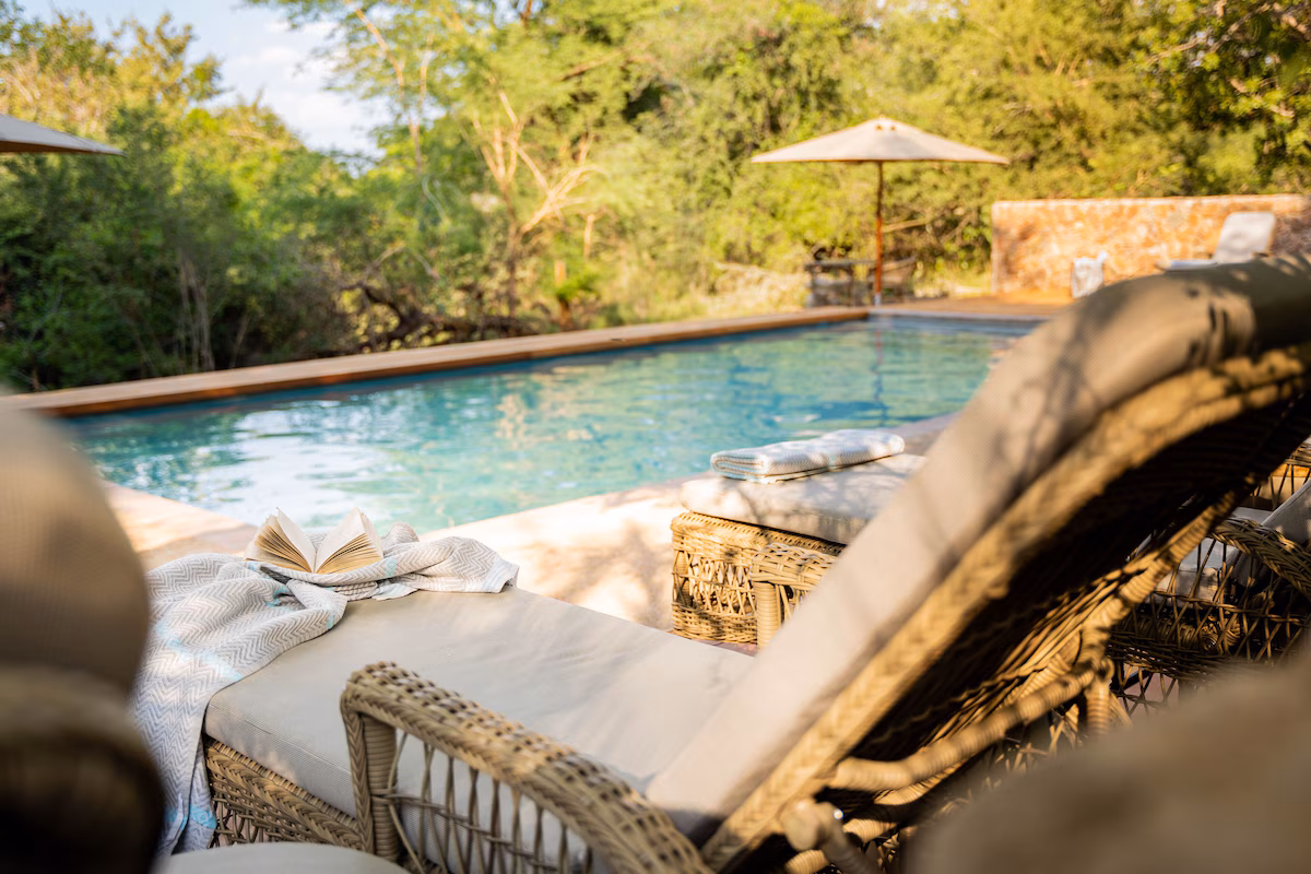 Eleganter Lounge-Bereich der Thornybush Game Lodge mit modernen Sofas, Naturdekor, offener Holzstruktur und Blick auf die afrikanische Wildnis – stilvolles Safari-Ambiente inmitten der Natur.
