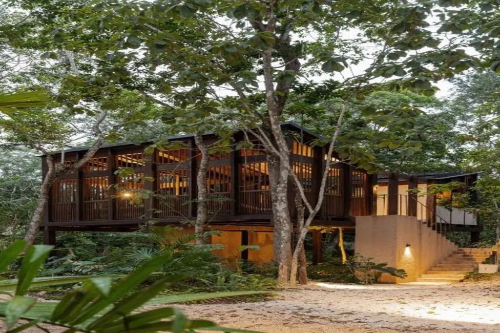 Holzgebäude im Dschungel mit beleuchteten Innenräumen und umgebenem Laub.