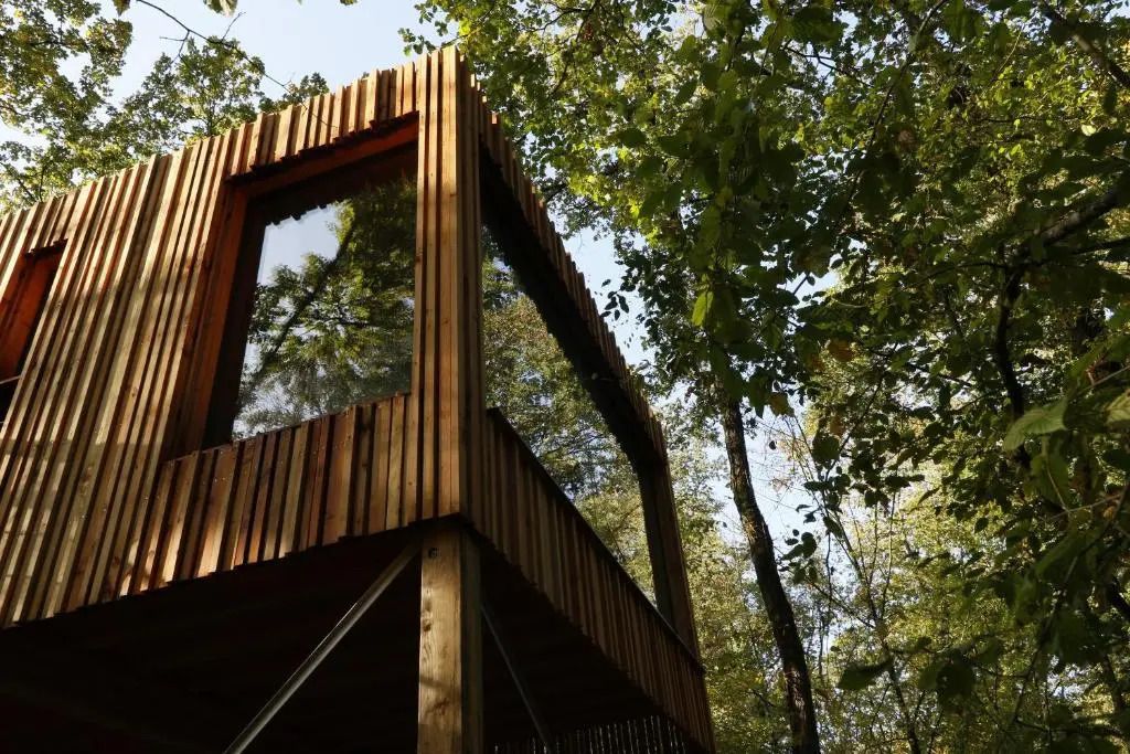 Baumhaushotel mit großen Glasfenstern umgeben von grüner Natur im Wald.