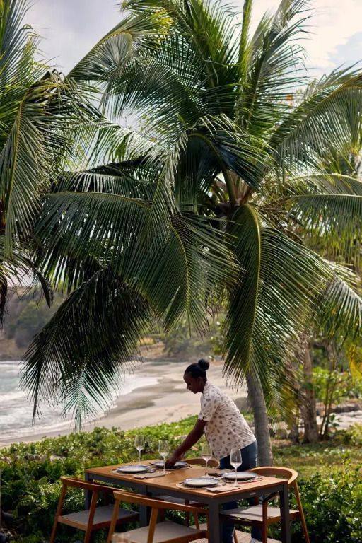 Üppige Palmen im Vordergrund mit Blick auf den Strand und das Meer im Hintergrund.