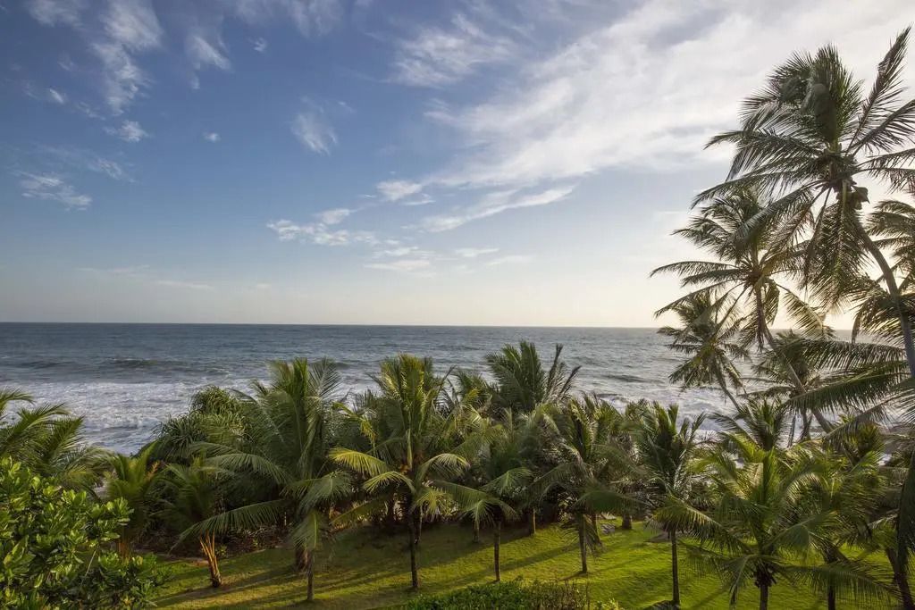 Tropischer Garten mit Palmen und Blick aufs Meer unter blauem Himmel