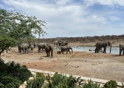 Mit Christiane zu den Big 5 – eine exklusive Flugsafari in Südafrika