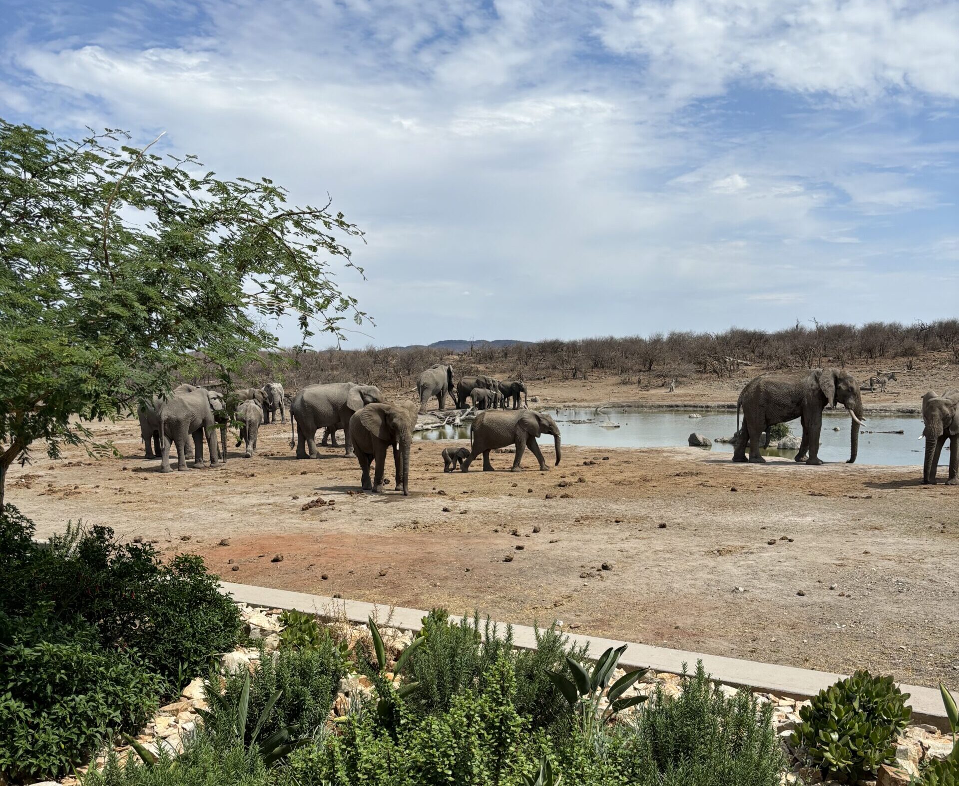 Mit Christiane zu den Big 5 – eine exklusive Flugsafari in Südafrika